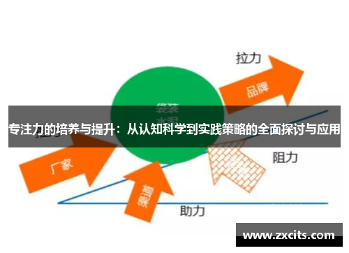 专注力的培养与提升：从认知科学到实践策略的全面探讨与应用